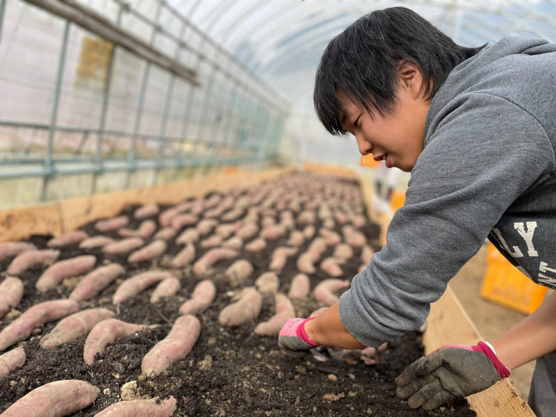 苗半作とは言いつつも、焦らずゆっくり確実に