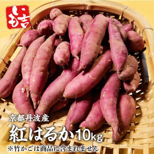 京都丹波産 生芋 10kg