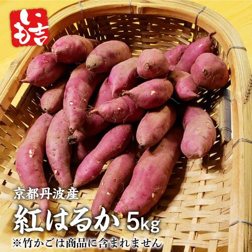 京都丹波産 生芋 5kg